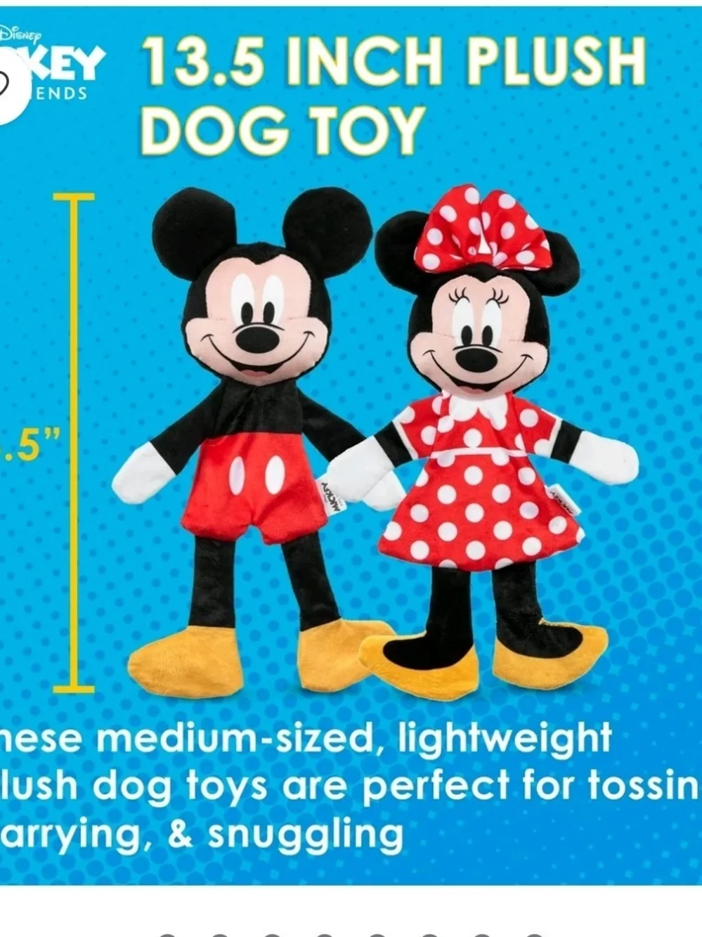 Disney mickey minnie